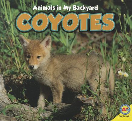 Coyotes (Animals in My Backyard) 1619130009 Book Cover