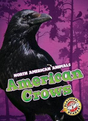 American Crows 1626179093 Book Cover