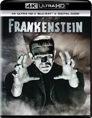 Frankenstein            Book Cover
