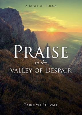 PRAISE in the VALLEY OF DESPAIR: A Book of Poems            Book Cover