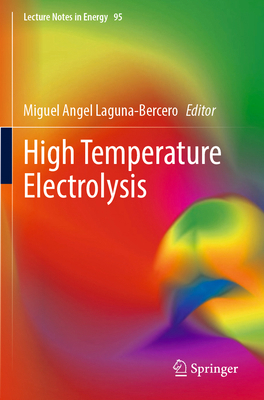 High Temperature Electrolysis 3031225104 Book Cover