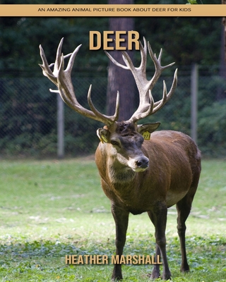 Paperback Deer: An Amazing Animal Picture Book about Deer for Kids [Large Print] Book