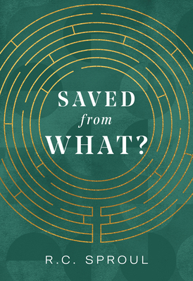 Saved from What? 1642892998 Book Cover