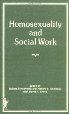 Homosexuality and Social Work: Homosexuality an... 0866561803 Book Cover