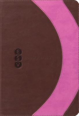 Student Study Bible-ESV-ARC Design 1433531577 Book Cover