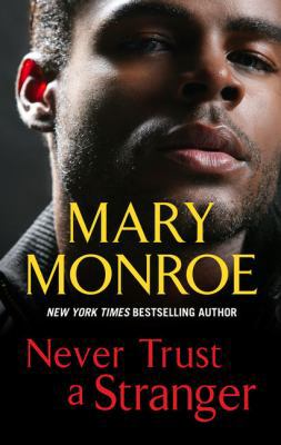 Never Trust a Stranger [Large Print] 1410497771 Book Cover