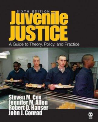 Juvenile Justice: A Guide to Theory, Policy, an... 141295133X Book Cover