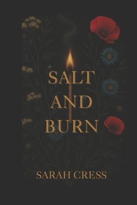 Salt and Burn B0FGDH9HW4 Book Cover