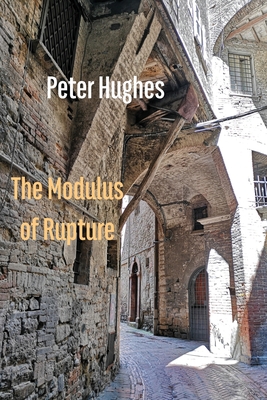 The Modulus of Rupture 1848618786 Book Cover