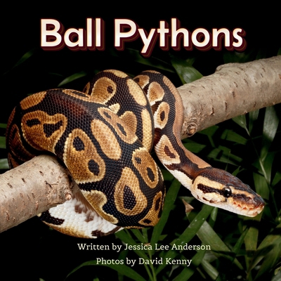 Ball Pythons 1964078318 Book Cover