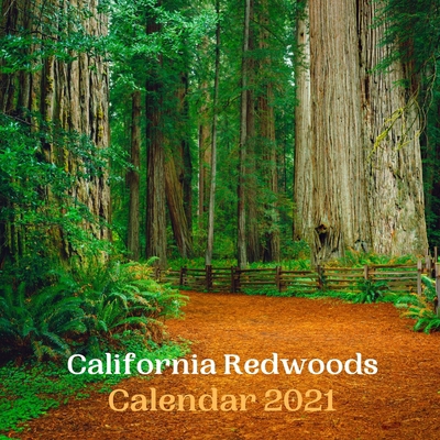 Paperback California Redwoods Calendar 2021 Book