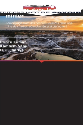 Utilisation des cendres volantes dans le secteu... [French] 6204681915 Book Cover