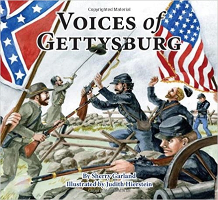 Voices of Gettysburg 1589806530 Book Cover