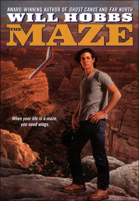 The Maze 0756903351 Book Cover