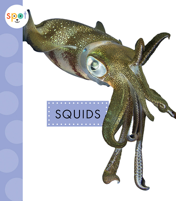 Squids 1681526808 Book Cover