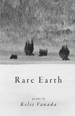 Rare Earth 164662162X Book Cover