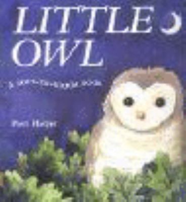 Little Owl (A Soft-to-Touch Book) 1405047739 Book Cover