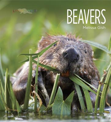 Living Wild: Beavers 1628320001 Book Cover