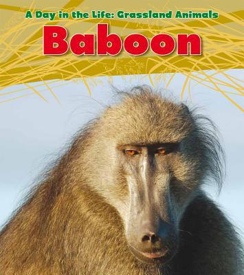 Baboon 1432947273 Book Cover