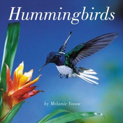 Hummingbirds 0762428341 Book Cover