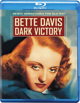 Dark Victory Book Cover