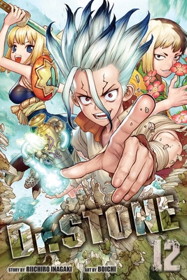 Dr. Stone, Vol. 12 1974715299 Book Cover