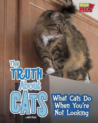 The Truth about Cats: What Cats Do When You're ... 1410986055 Book Cover