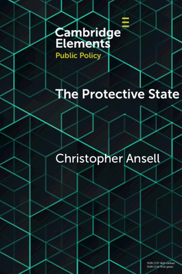 The Protective State 110873961X Book Cover