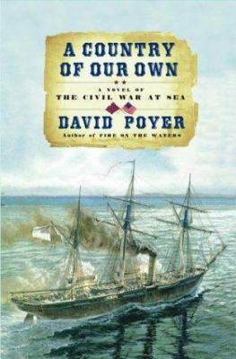 A Country of Our Own: A Novel of the Civil War ... 0684871343 Book Cover