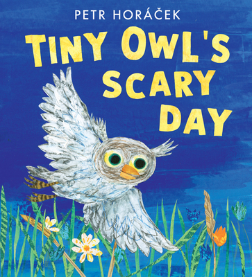 Tiny Owl's Scary Day 1536235873 Book Cover