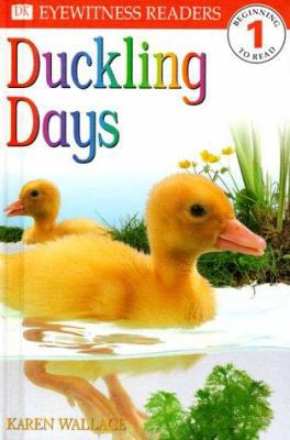 DK Readers L1: Duckling Days 0789439956 Book Cover