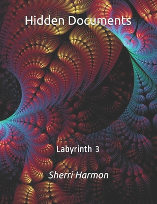 Hidden Documents: Labyrinth 3 B084DFQXQQ Book Cover