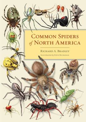 Common Spiders of North America 0520274881 Book Cover