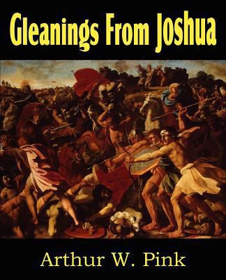 Gleanings from Joshua 1612033407 Book Cover