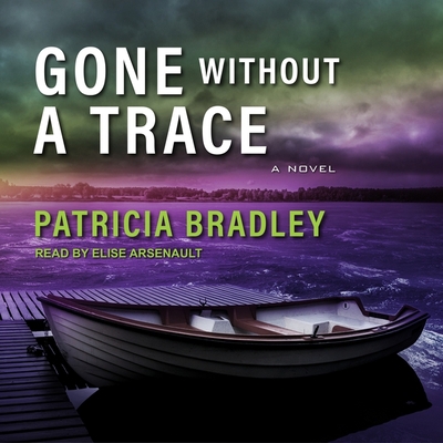 Gone Without a Trace 1665277661 Book Cover