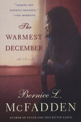 The Warmest December 0452282918 Book Cover