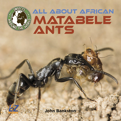 All about African Matabele Ants 1680207601 Book Cover
