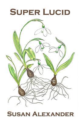 Super Lucid 1071040553 Book Cover