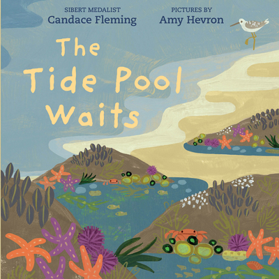 The Tide Pool Waits 0823459985 Book Cover