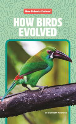 How Birds Evolved B0GN27MFJF Book Cover