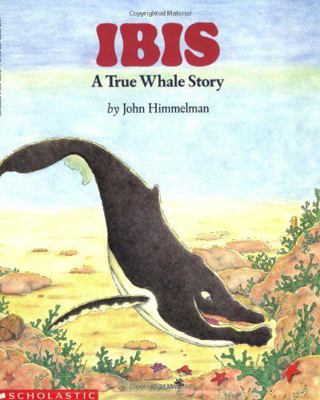 Ibis: A True Whale Story 0590428497 Book Cover