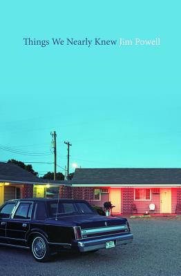 Things We Nearly Knew 150984242X Book Cover