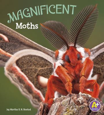 Magnificent Moths 1515745155 Book Cover