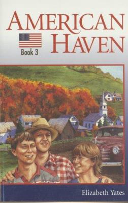 American Haven 1579248969 Book Cover