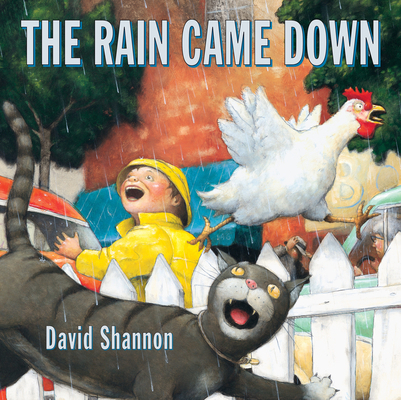 The Rain Came Down 0439050219 Book Cover