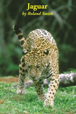 Jaguar 1402552548 Book Cover