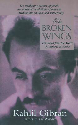 The Broken Wings 8187075163 Book Cover