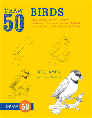 Draw 50 Birds 0606265090 Book Cover