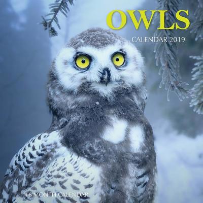 Owls Calendar 2019: 16 Month Calendar 1726385973 Book Cover