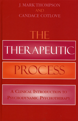 Therapeutic Process: A Clinical Introduction to... 0765710102 Book Cover